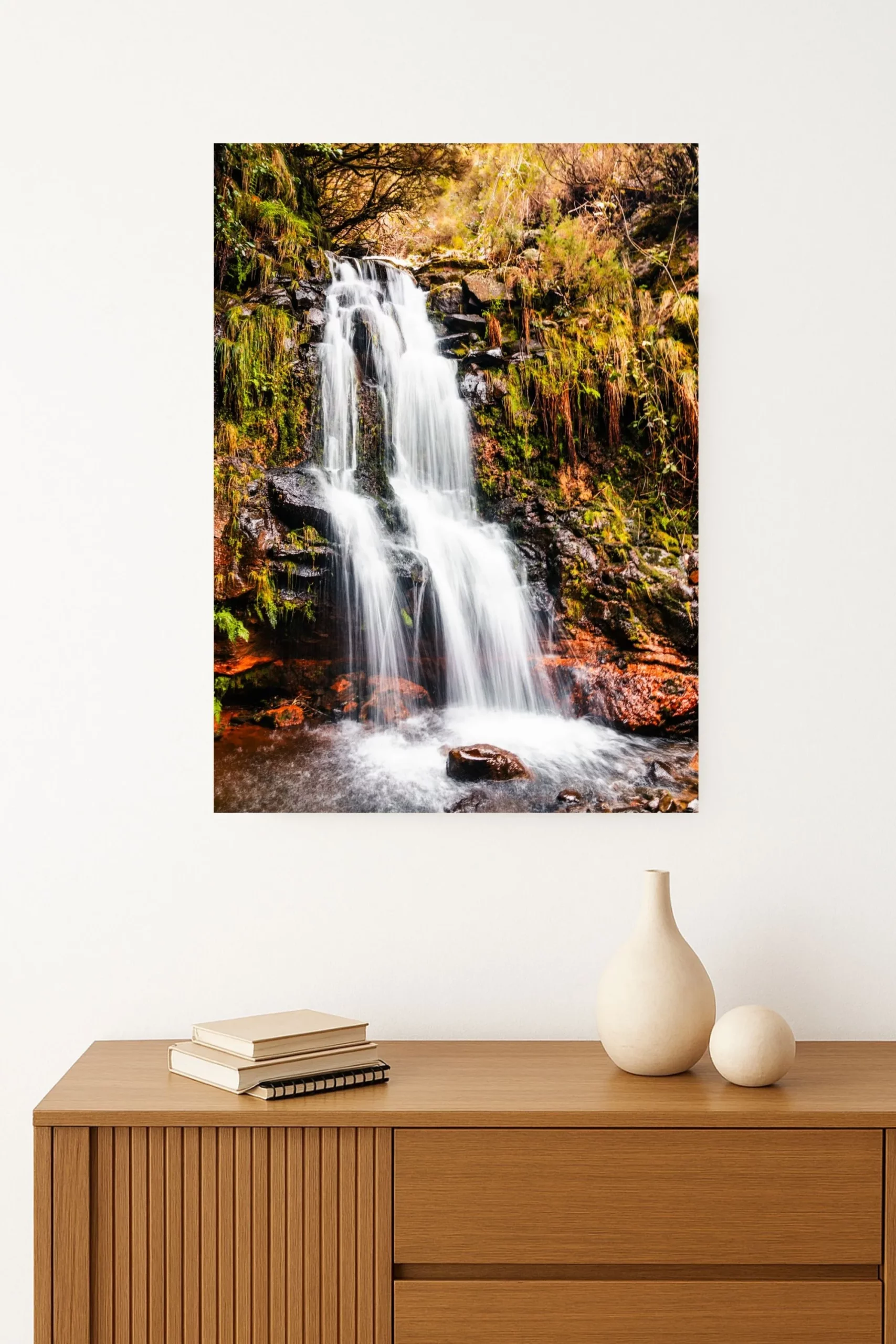Photo d'une cascade dans une forêt à Madère