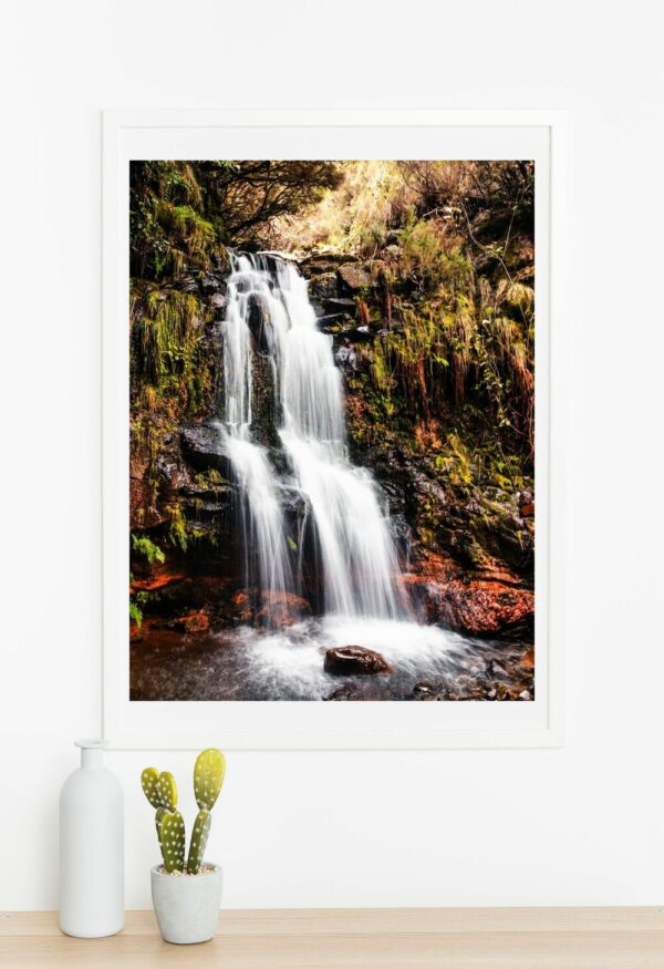 Photo d'une cascade dans une forêt à Madère