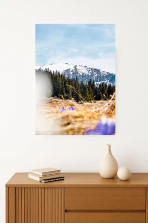 Photo du Grand Veymont au printemps