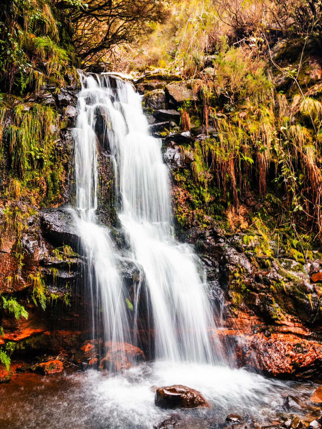 Photo d'une cascade dans une forêt à Madère