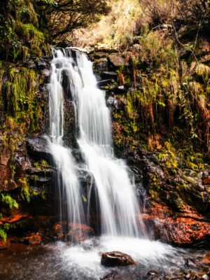 Photo d'une cascade dans une forêt à Madère