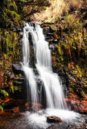 Photo d'une cascade dans une forêt à Madère