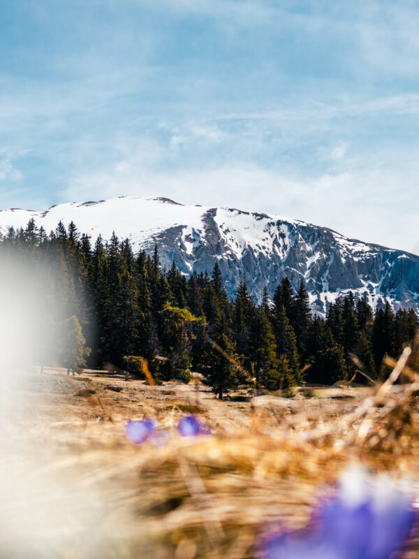 Photo du Grand Veymont au printemps