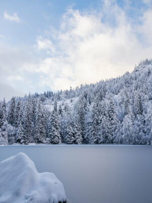 photo du lac Vert de Passy gelé avec les sapins sous la neige