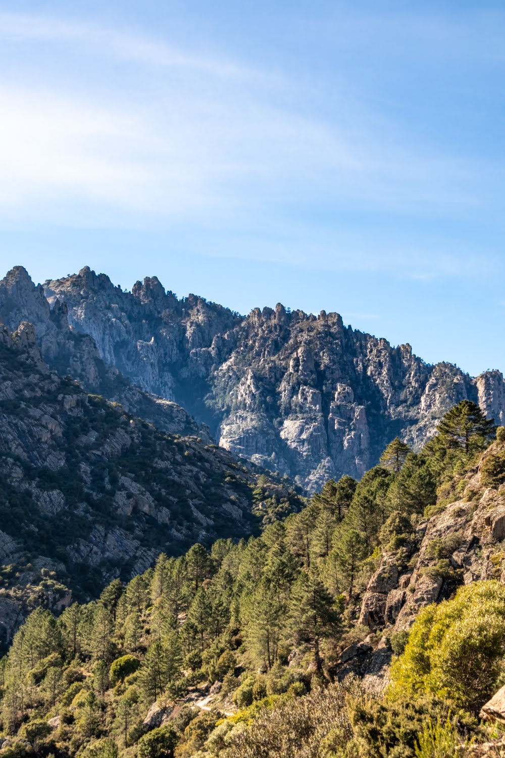 paysage de montagne