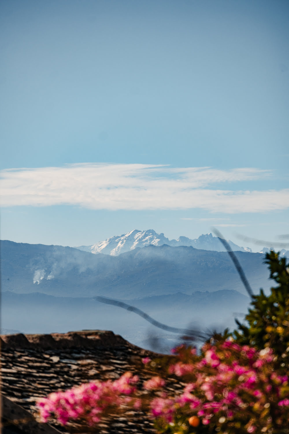 paysage de montagne enneigée avec la mer et des fleurs rose