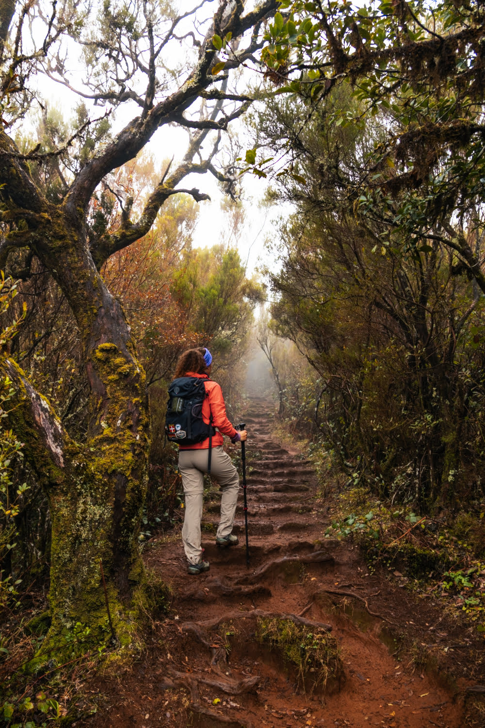 fille qui monte les escaliers à madère