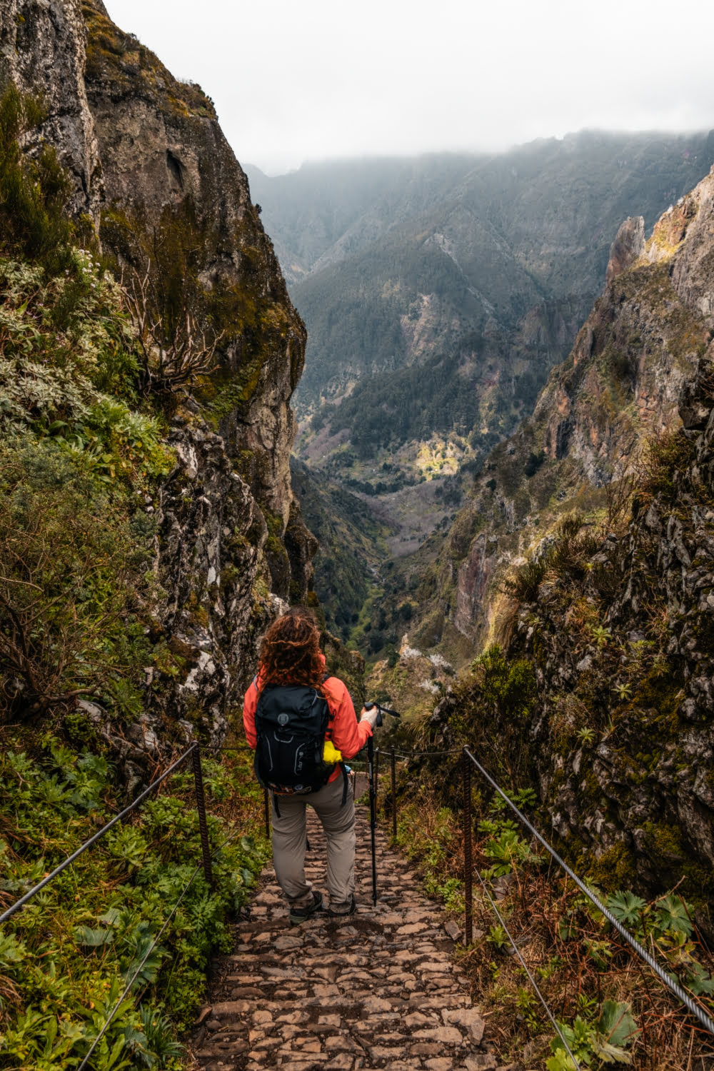 sentier et les montagnes du pico ruivo à madère