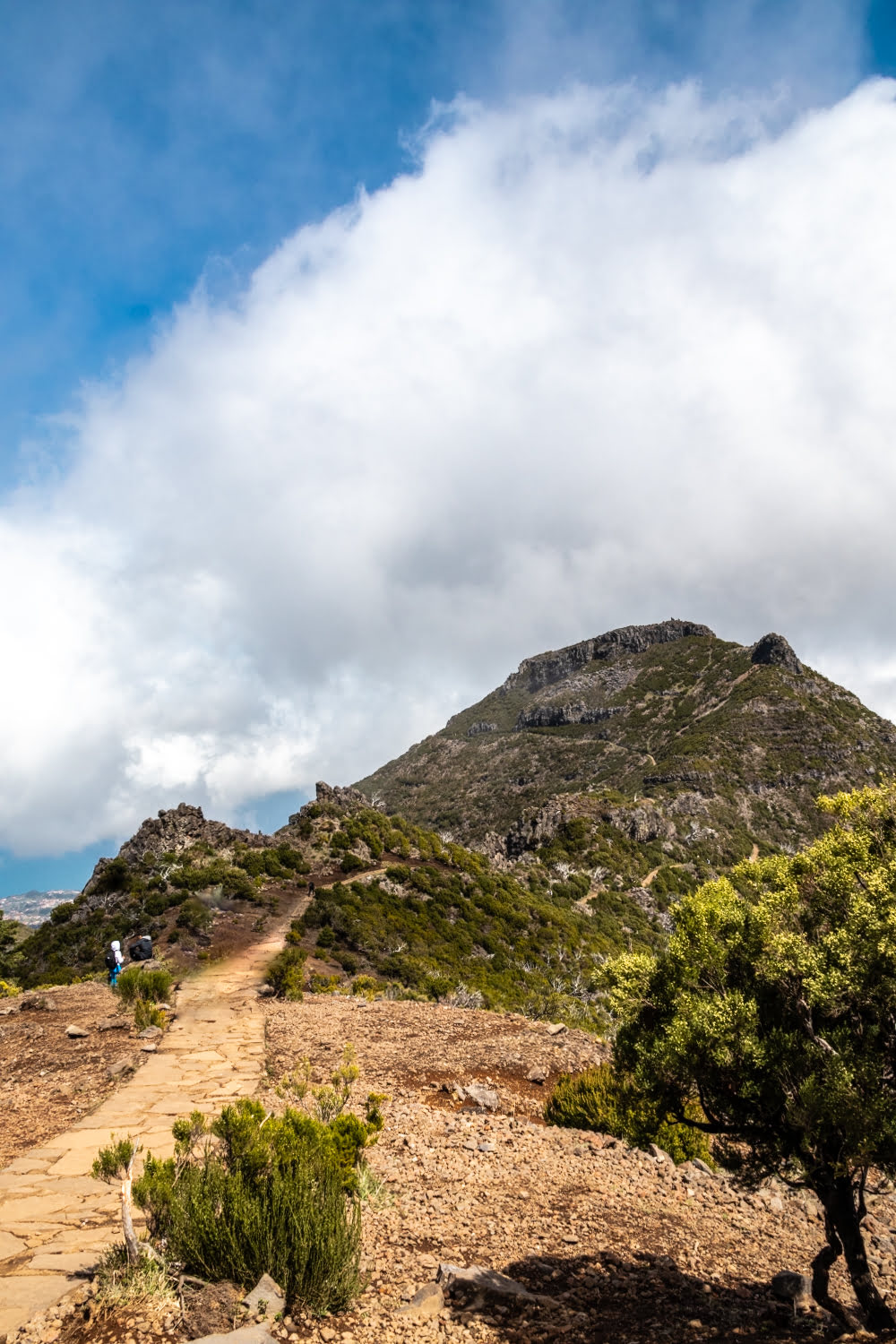 vue sur le sentier et les montagnes du pico ruivo à madère