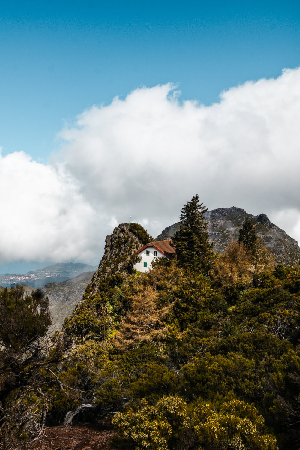 vue sur le sentier et les montagnes du pico ruivo à madère
