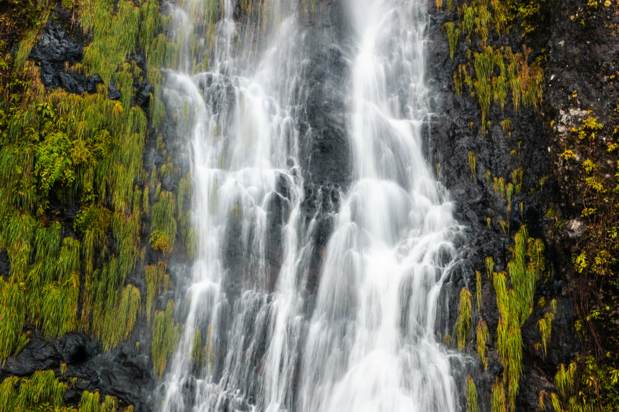 cascade madère