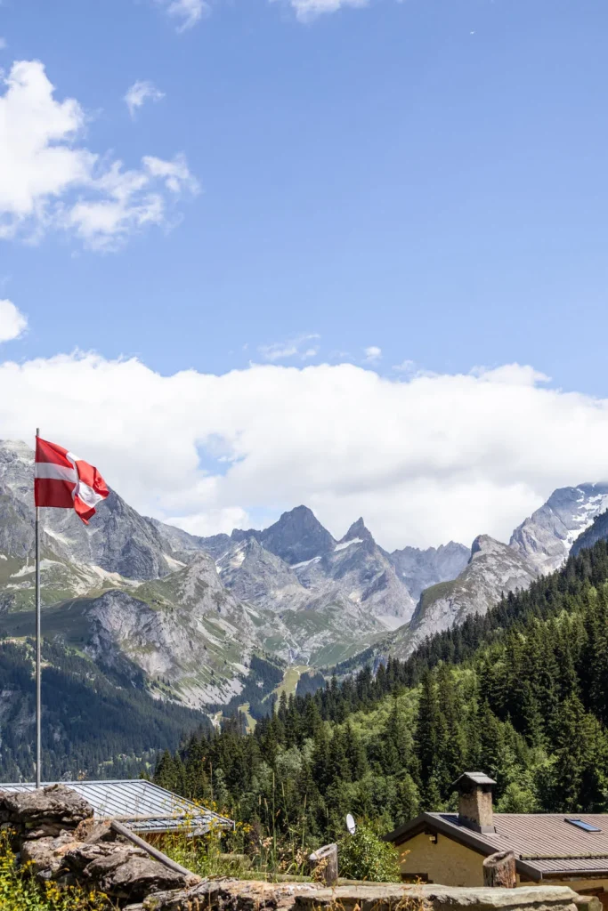 paysage montagne avec drapeau de savoie