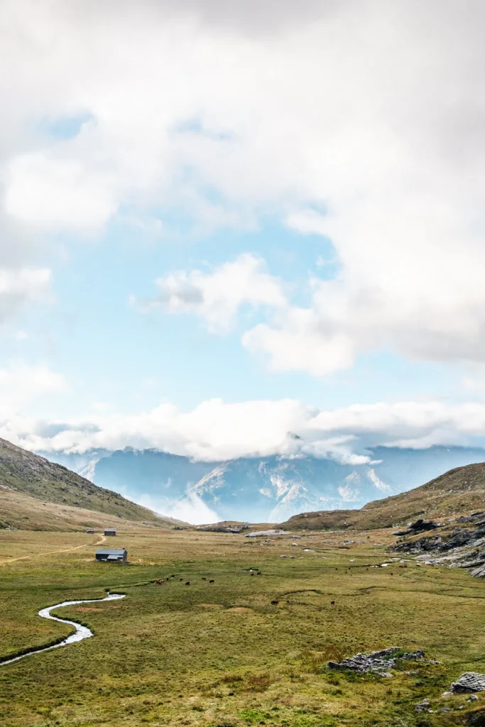paysage d'alpage