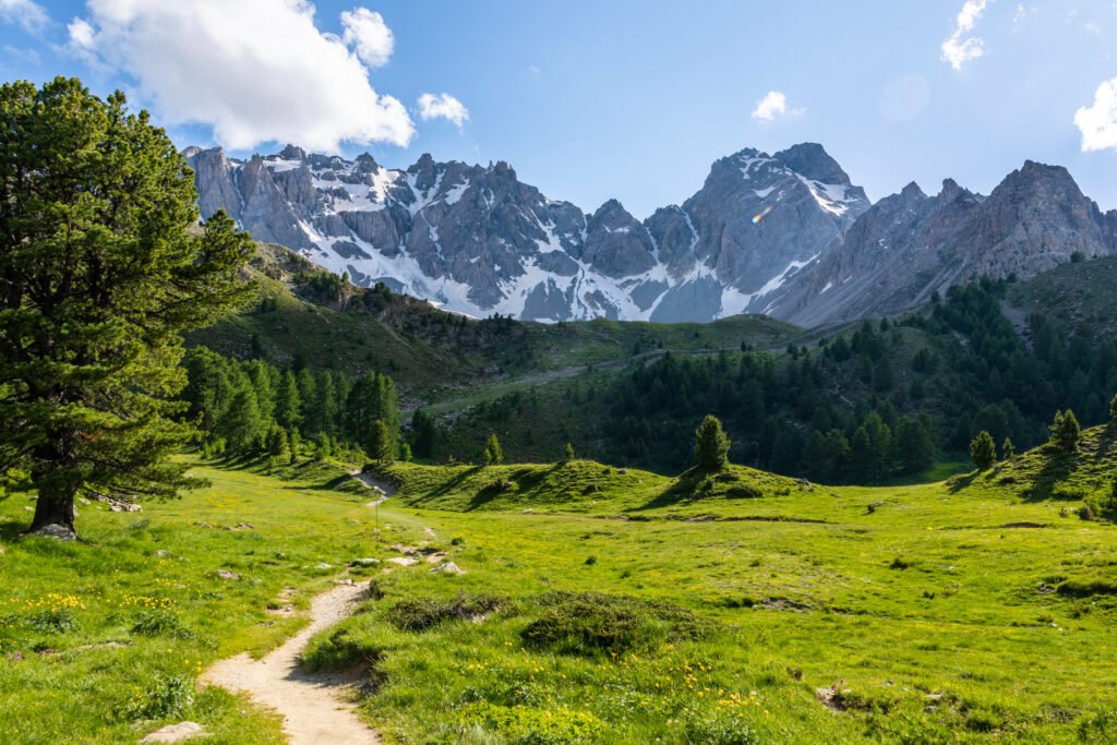 sentiers avec montagne derrière