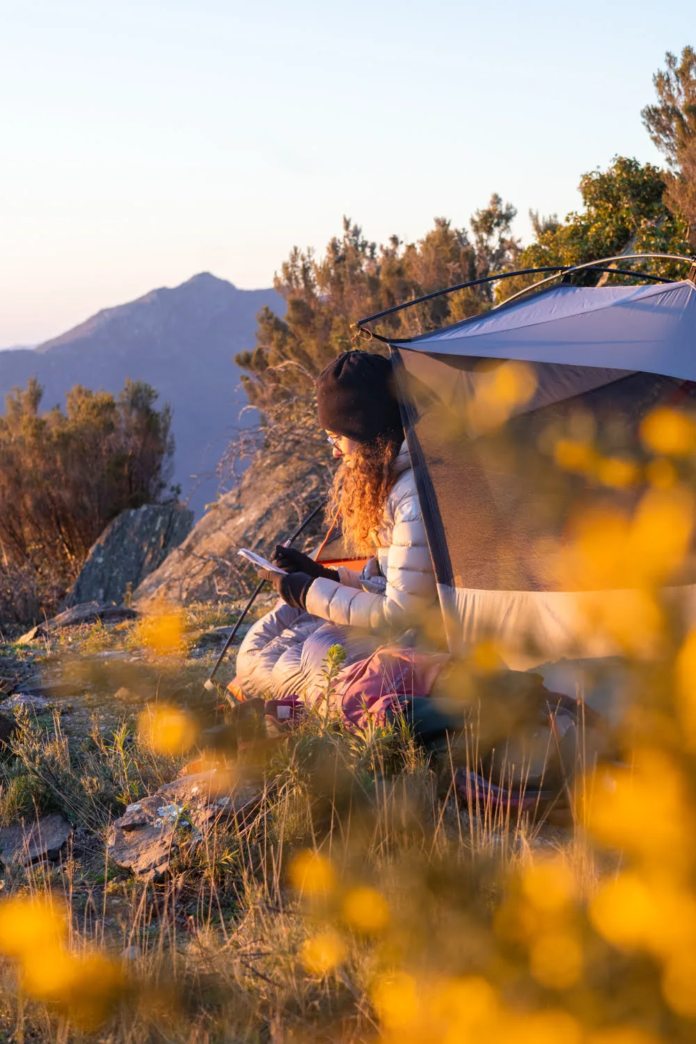 bivouac et tente dans les fleurs