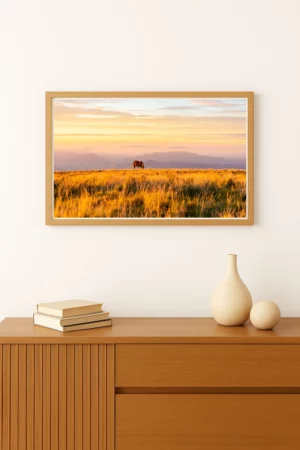 photo d'un coucher de soleil dans les pyrénées dans un alpage avec un cheval