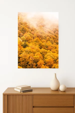 tirage photo d'une forêt d'arbres oranges d'automne