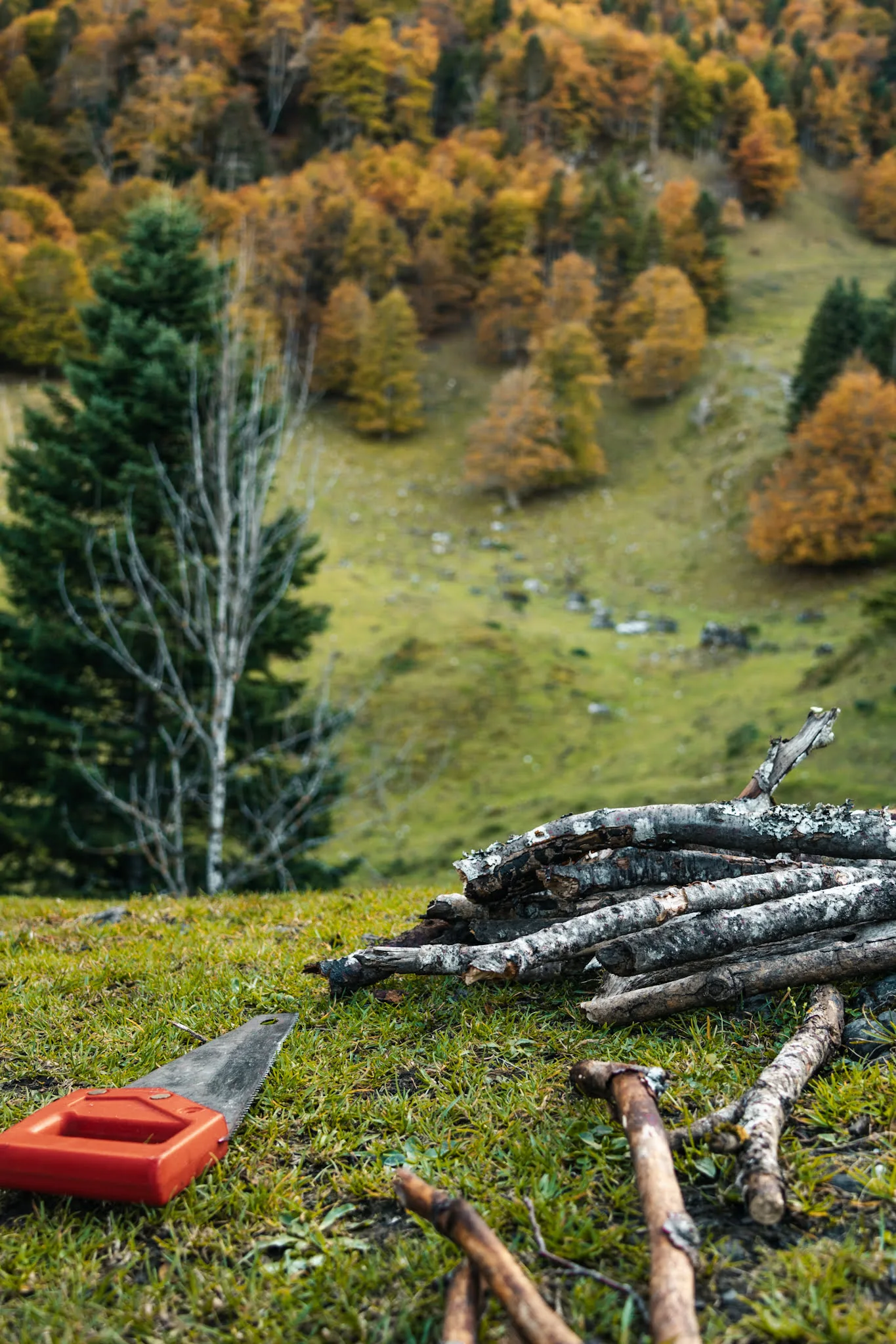 scie avec bois en montagne