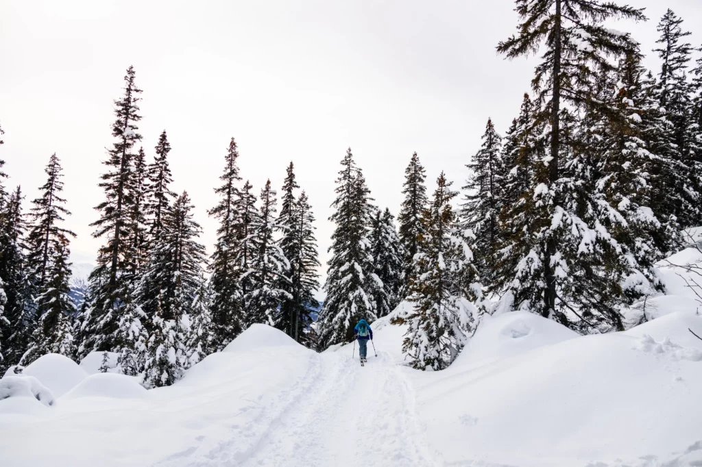 25 idées de cadeaux Outdoor et Montagne à offrir pour Noël paysage enneigé avec une personne qui fait du ski de rando dans la forêt