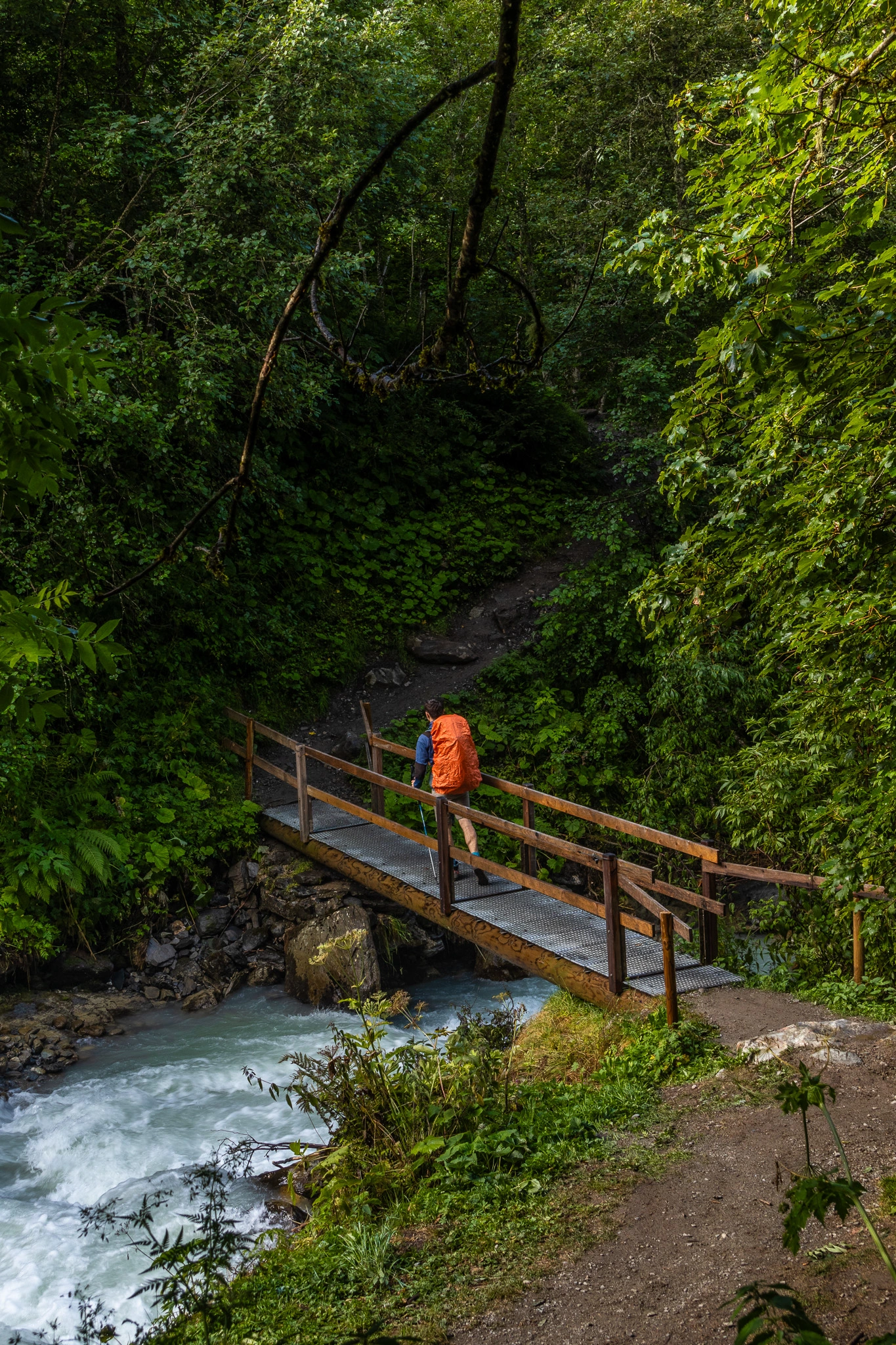 photo d'un pont dans une foret avec quelqu'un qui traverse