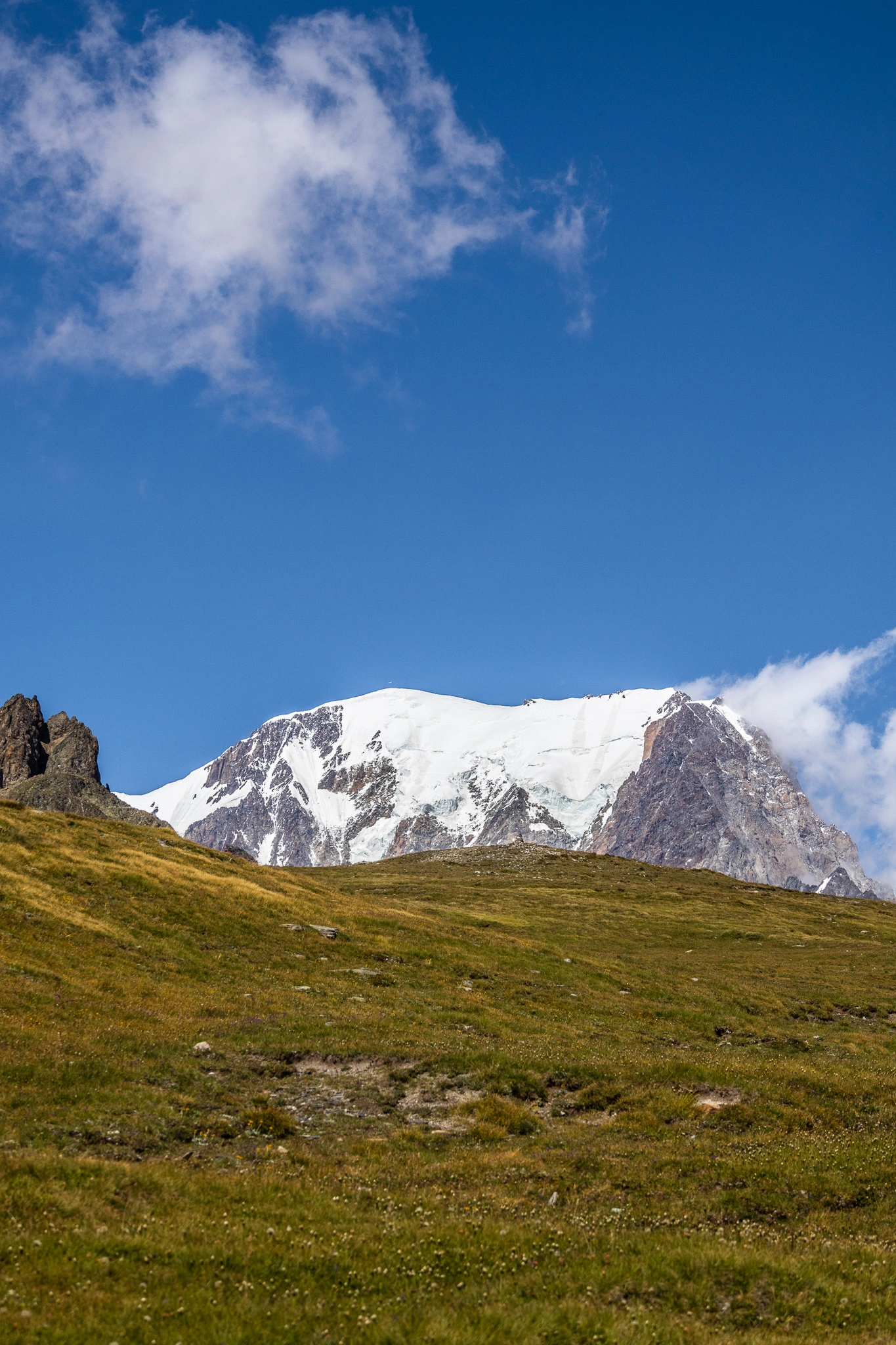 photo du mont blanc derrière une plaine