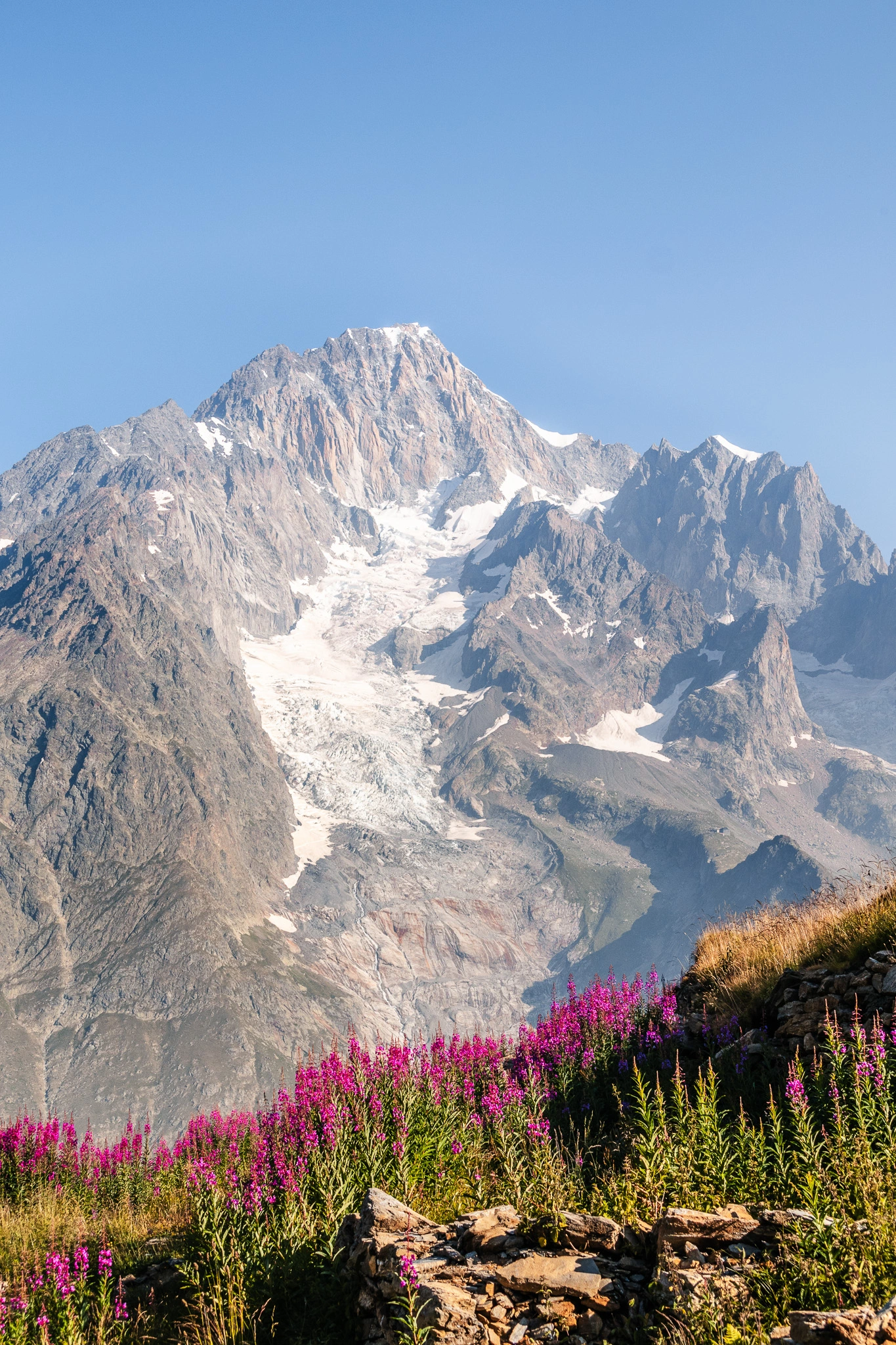 paysage du massif du mont blanc avec fleurs