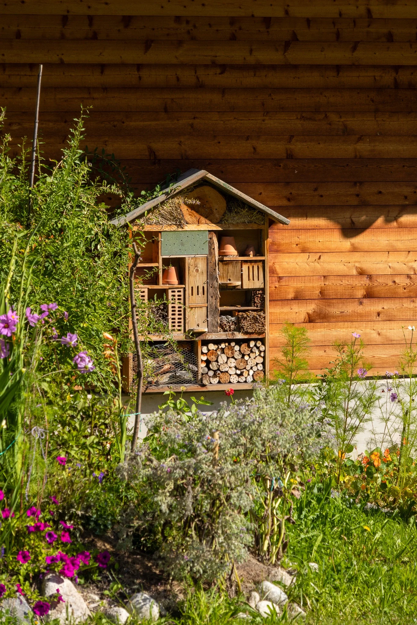 chalet avec une maisonnette pour les insectes