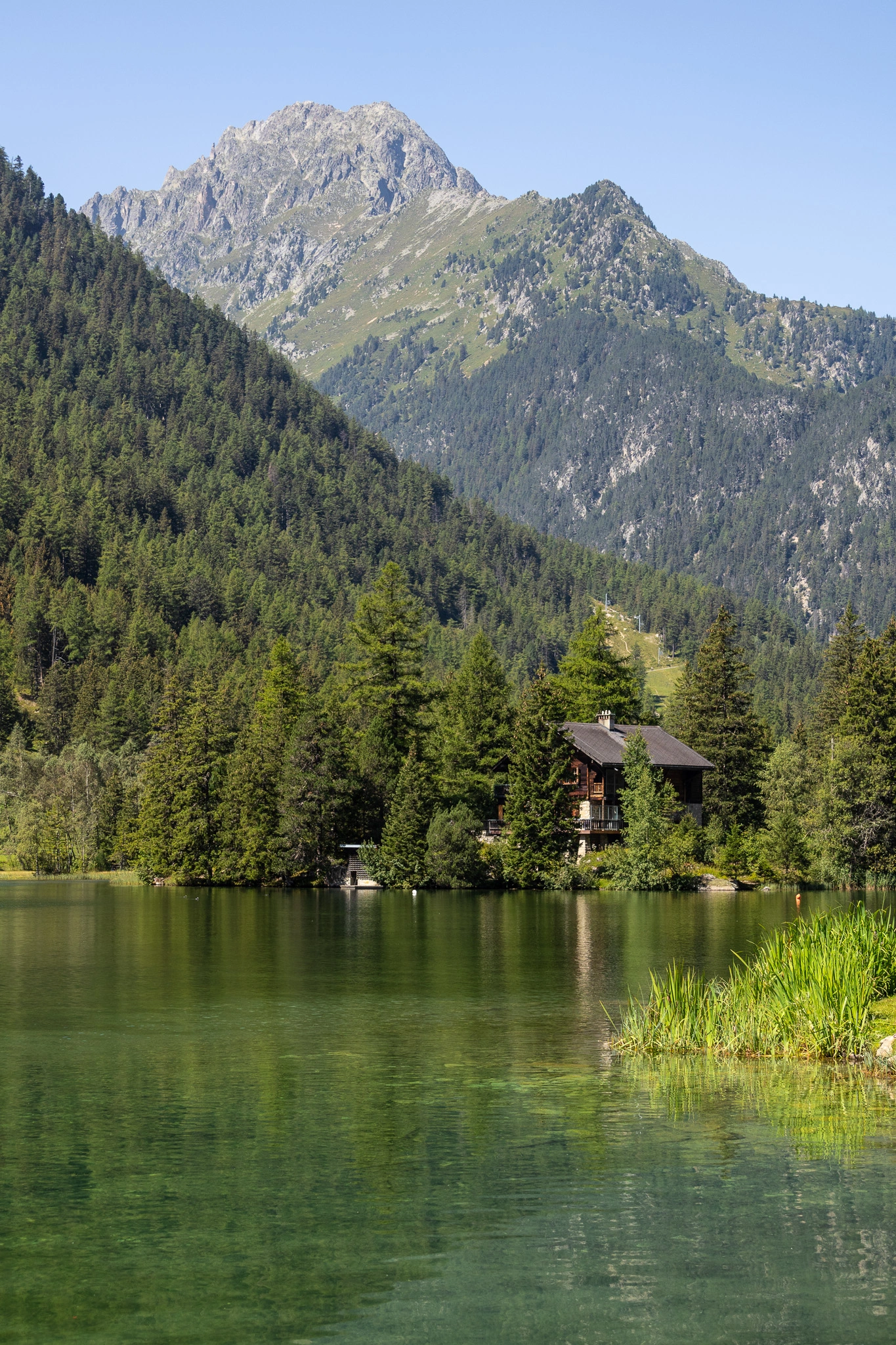 lac de champex lac avec une foret derrière