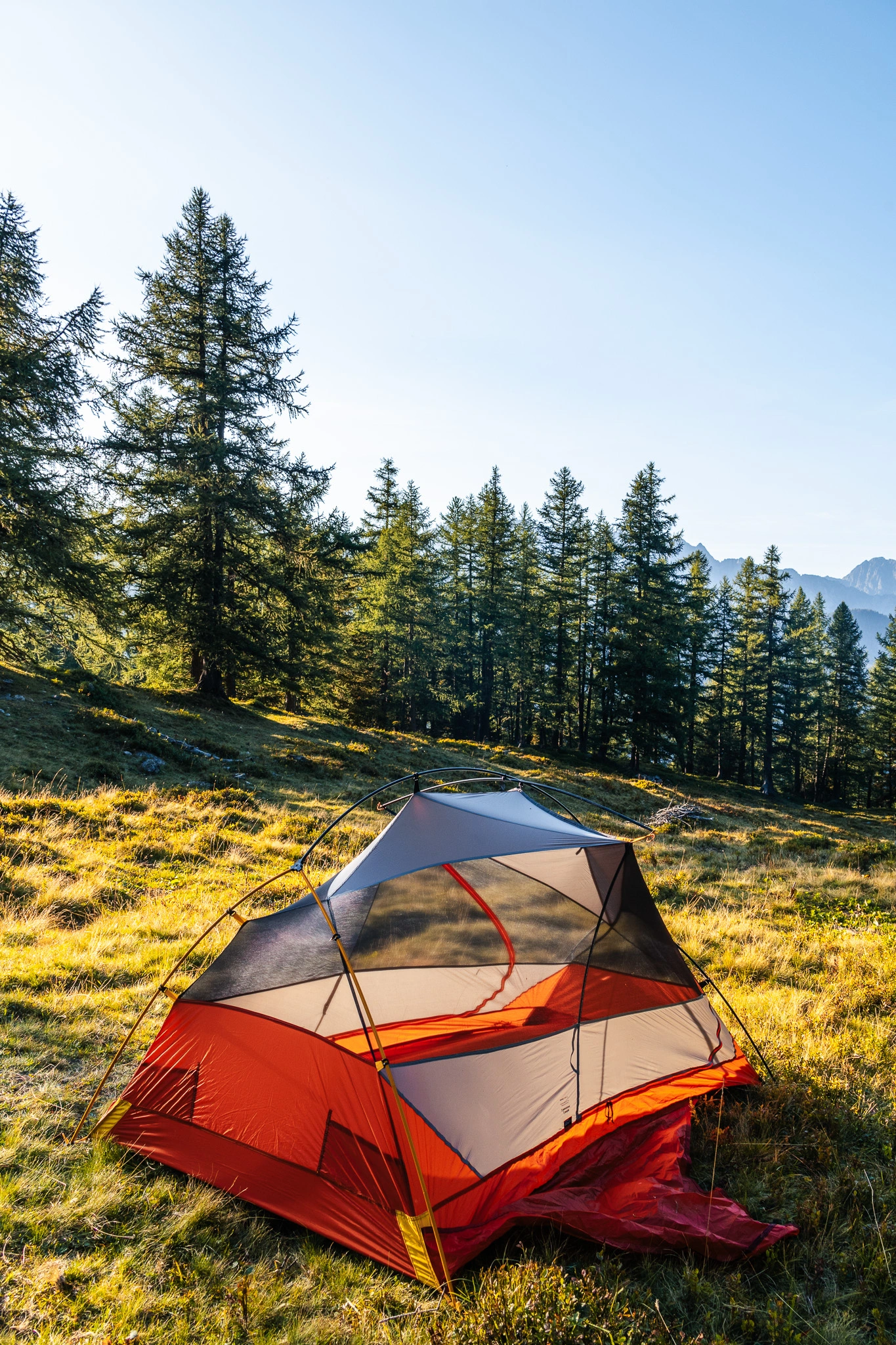 tente au soleil dans alpage devant une foret