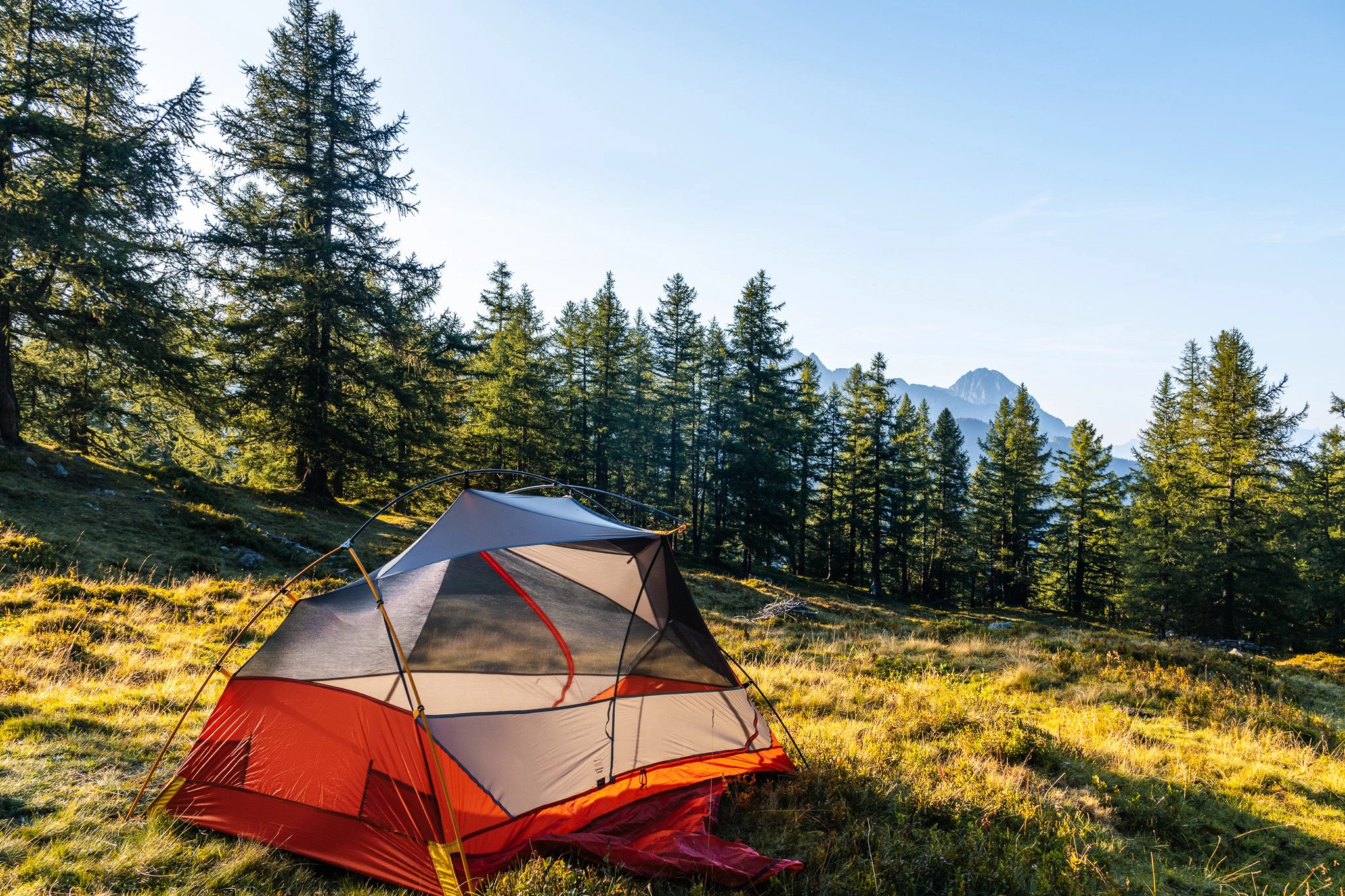 tente au soleil dans alpage devant une foret