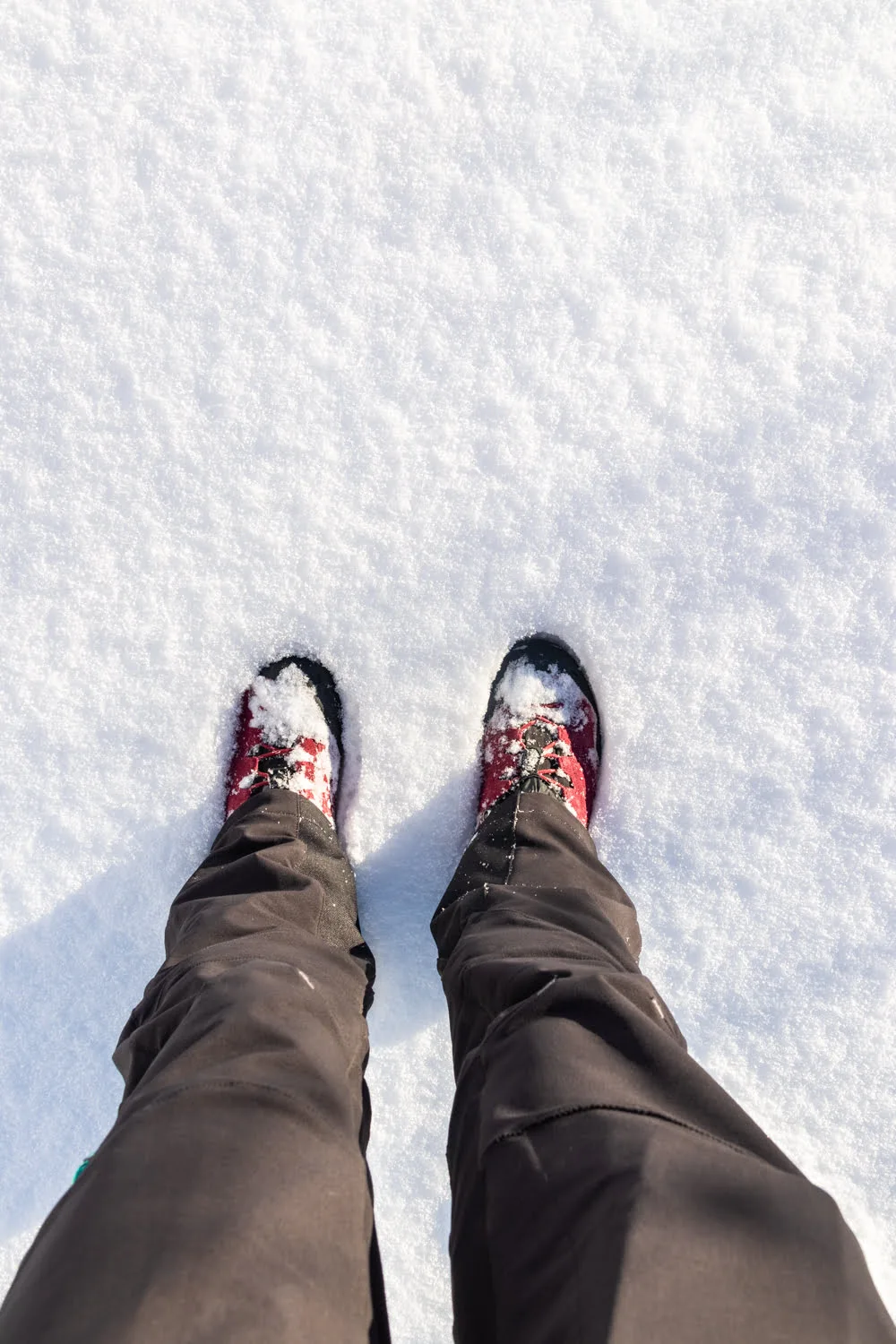 chaussure de rando dans la neige