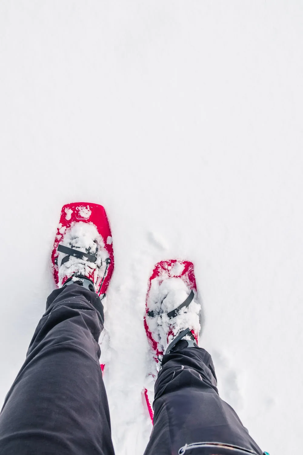 raquette dans la neige