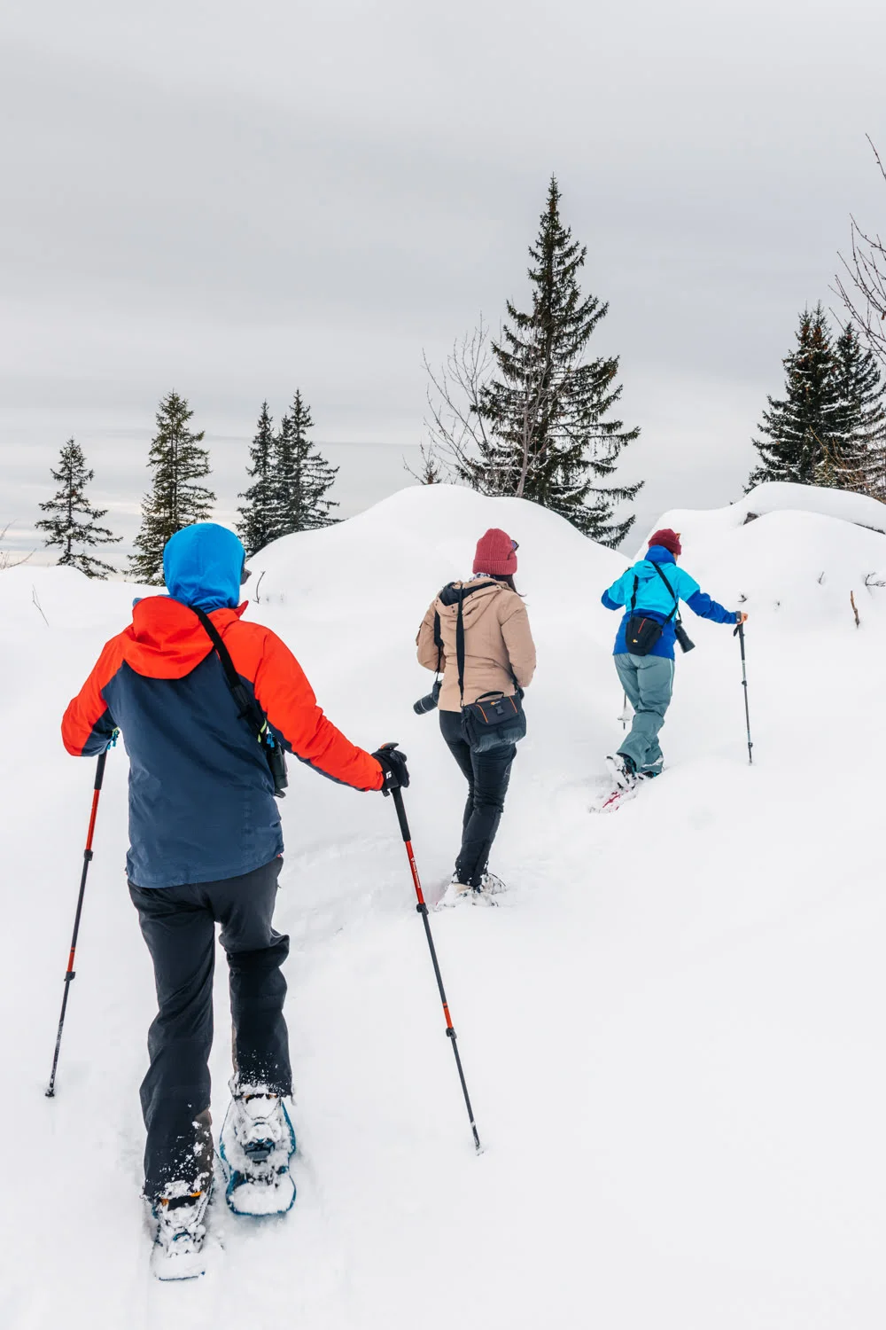 amis dans la neige faisant des raquettes dans un paysage de montagne