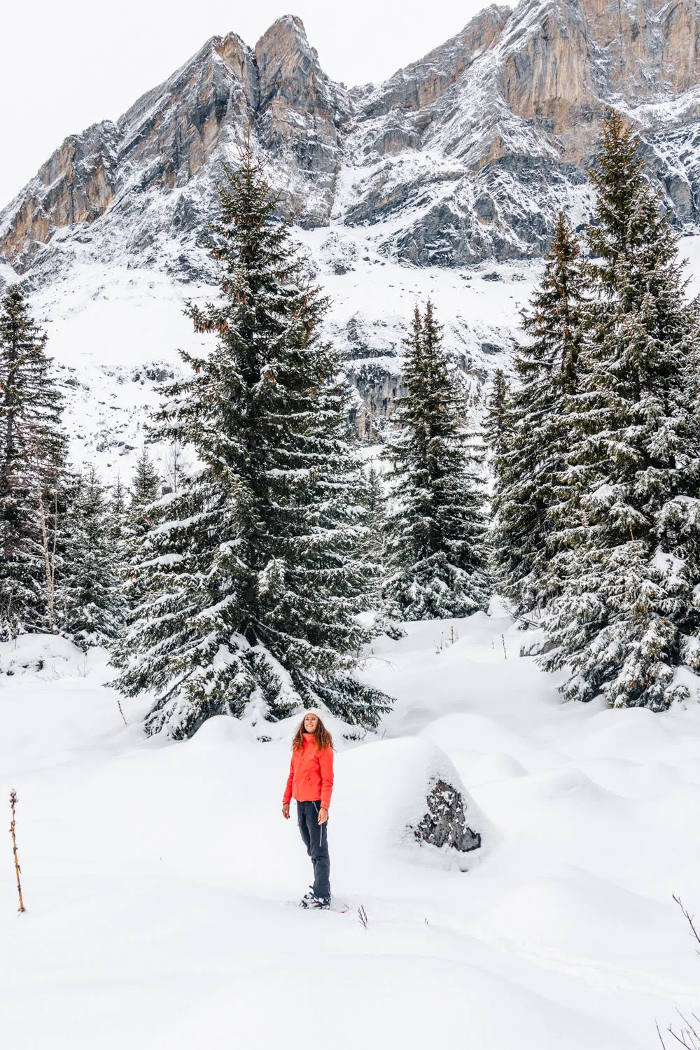 fille dans la neige devant un paysage de montagne