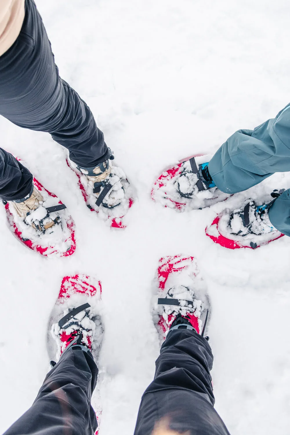 raquettes dans la neige