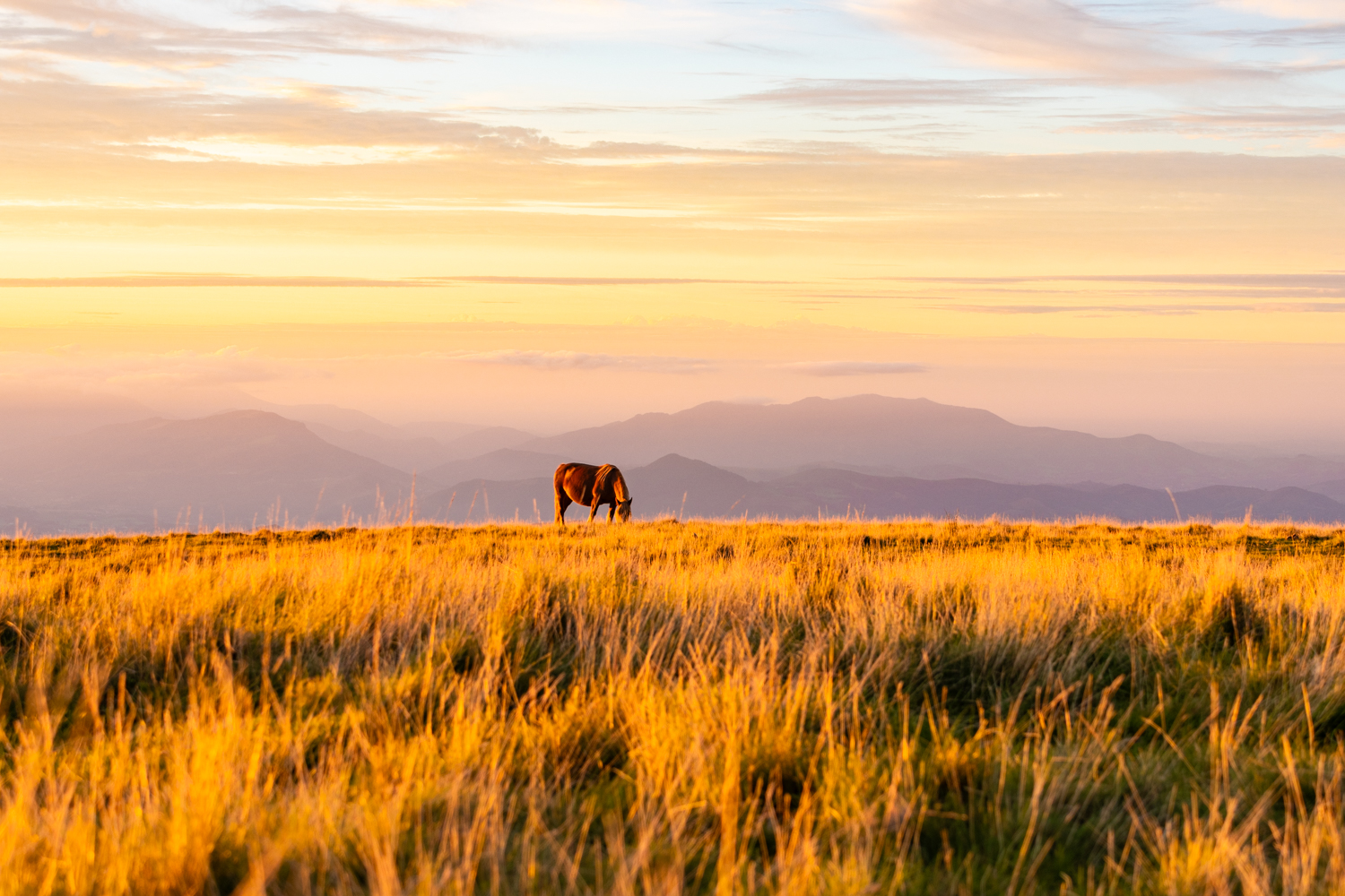 photo d'un coucher de soleil dans les pyrénées dans un alpage avec un cheval