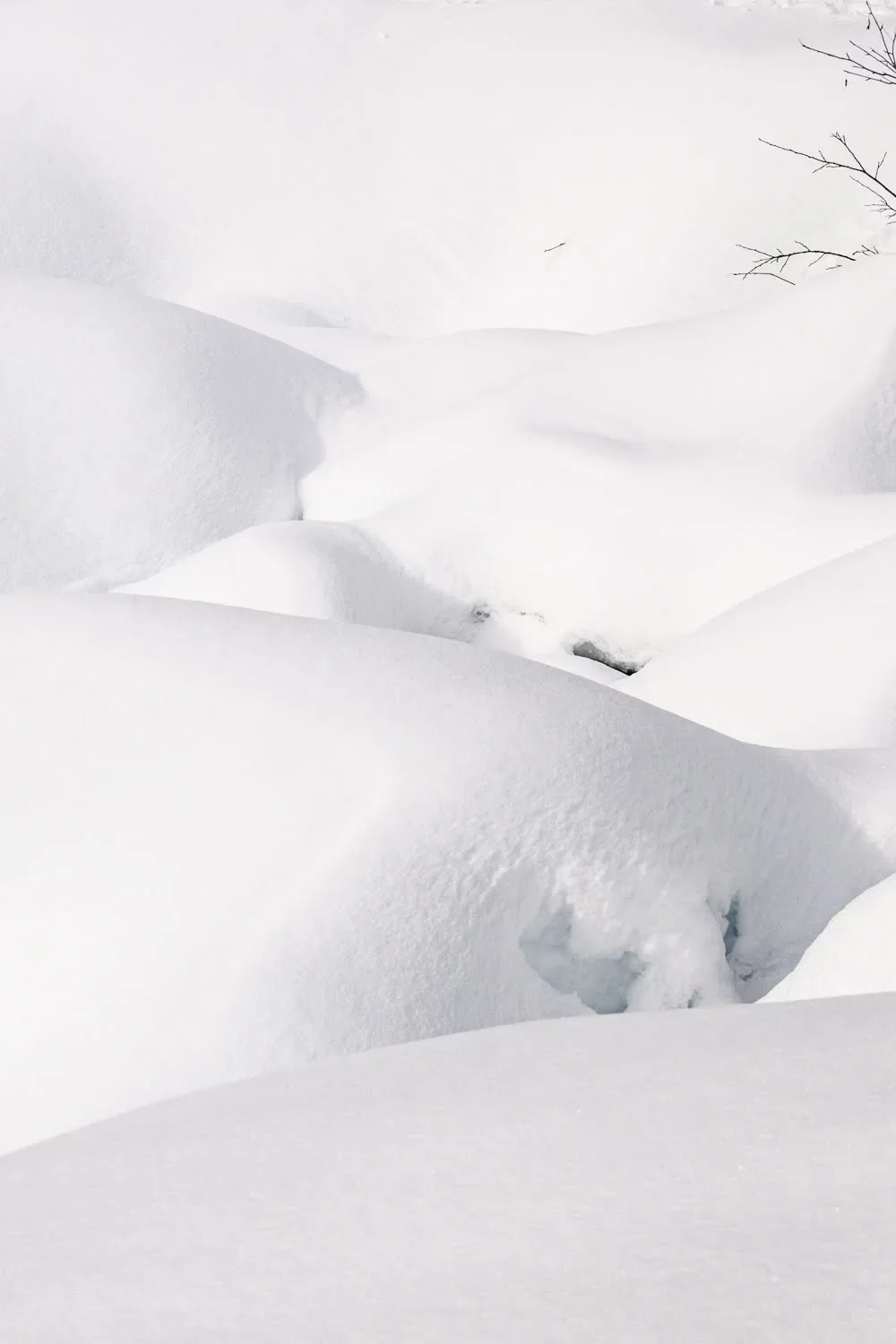 bosse de neiges