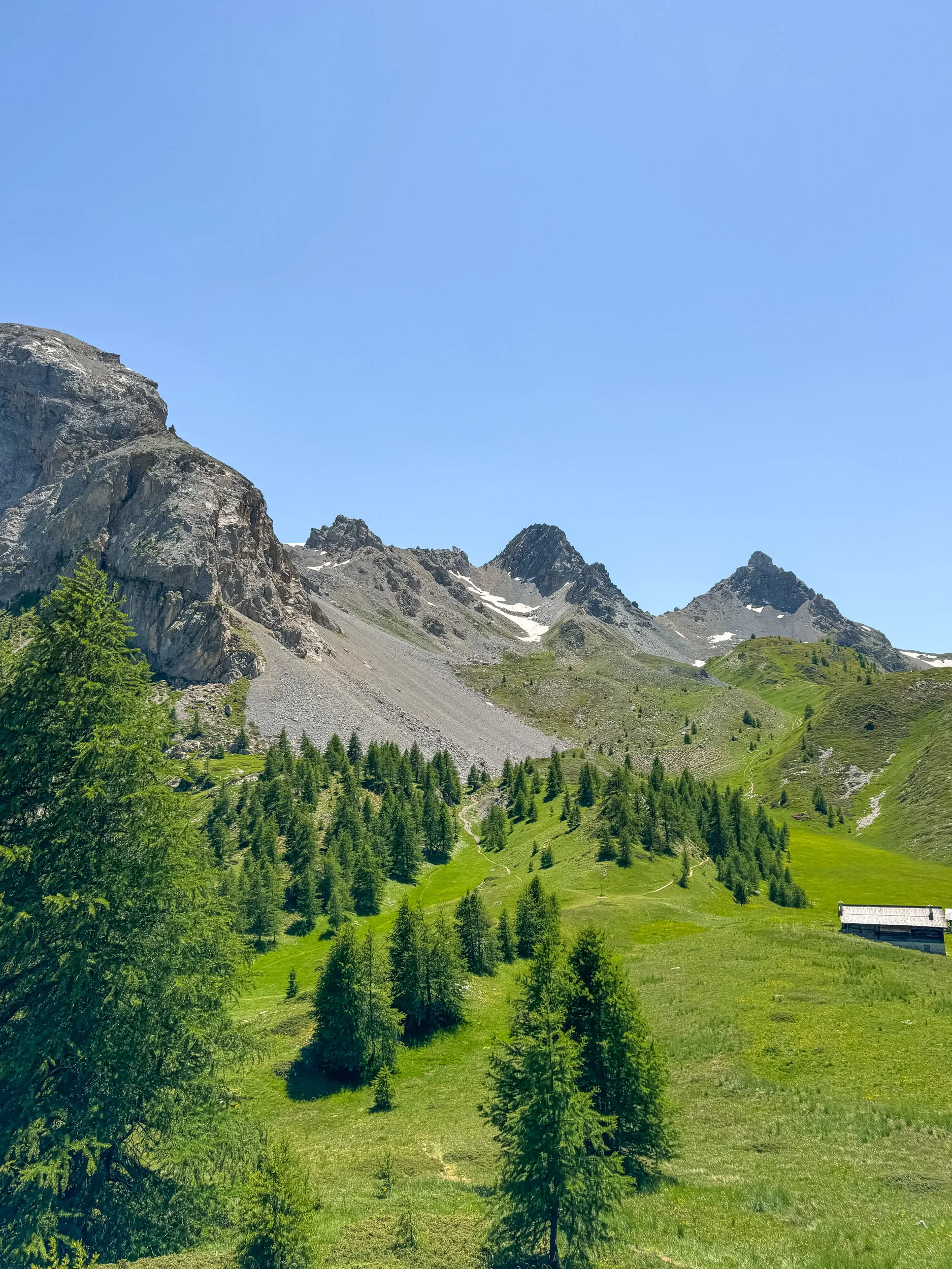 paysage de montagne avec sapin