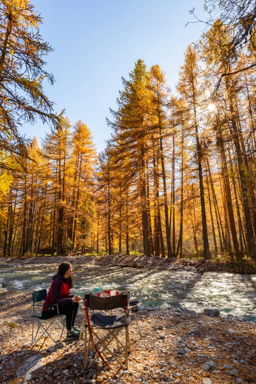 melezes dorés avec un beau soleil a coté d'un riviere et d'une table de pique-nique