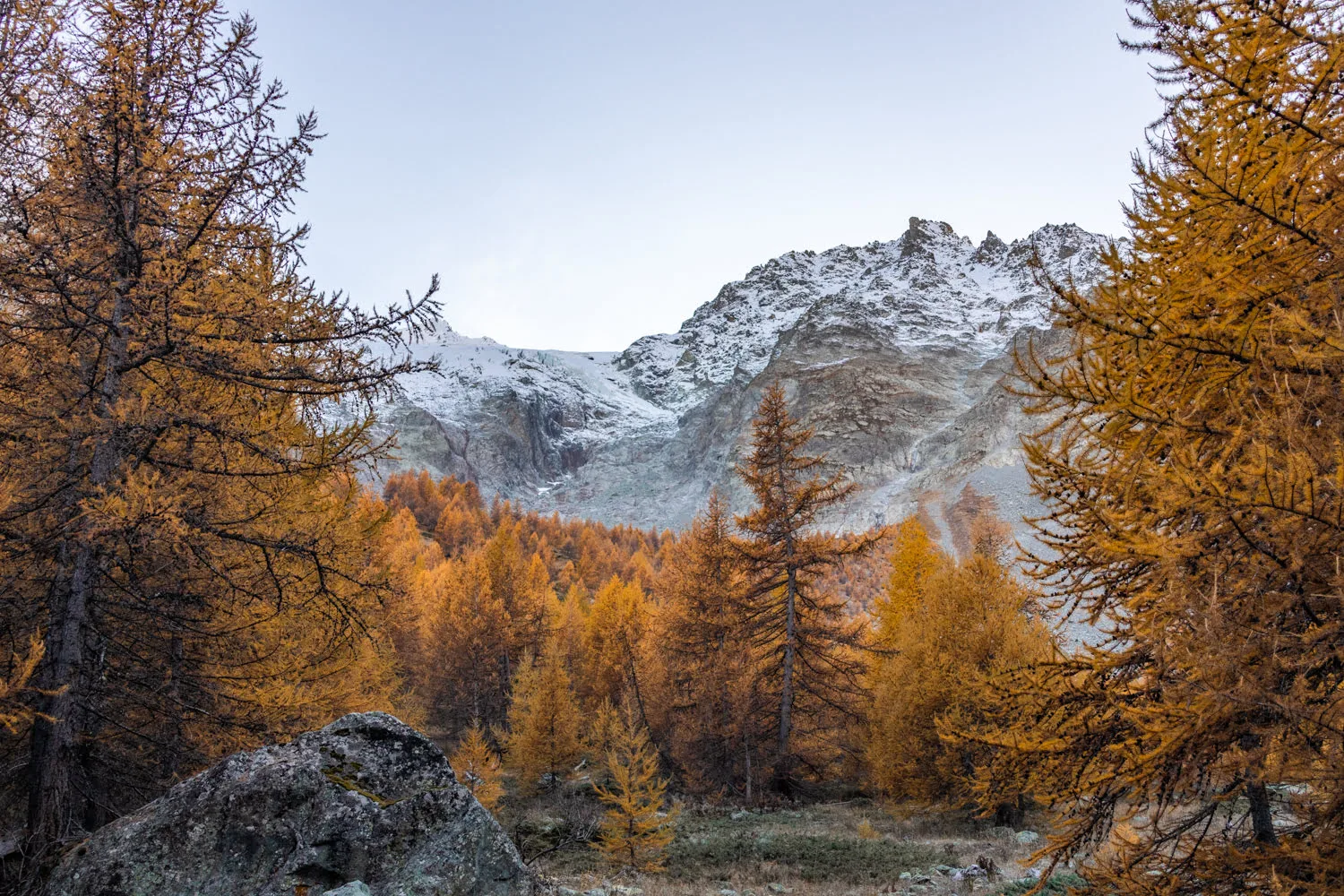 panorama d'une montagne entourés de mélèzes dorés