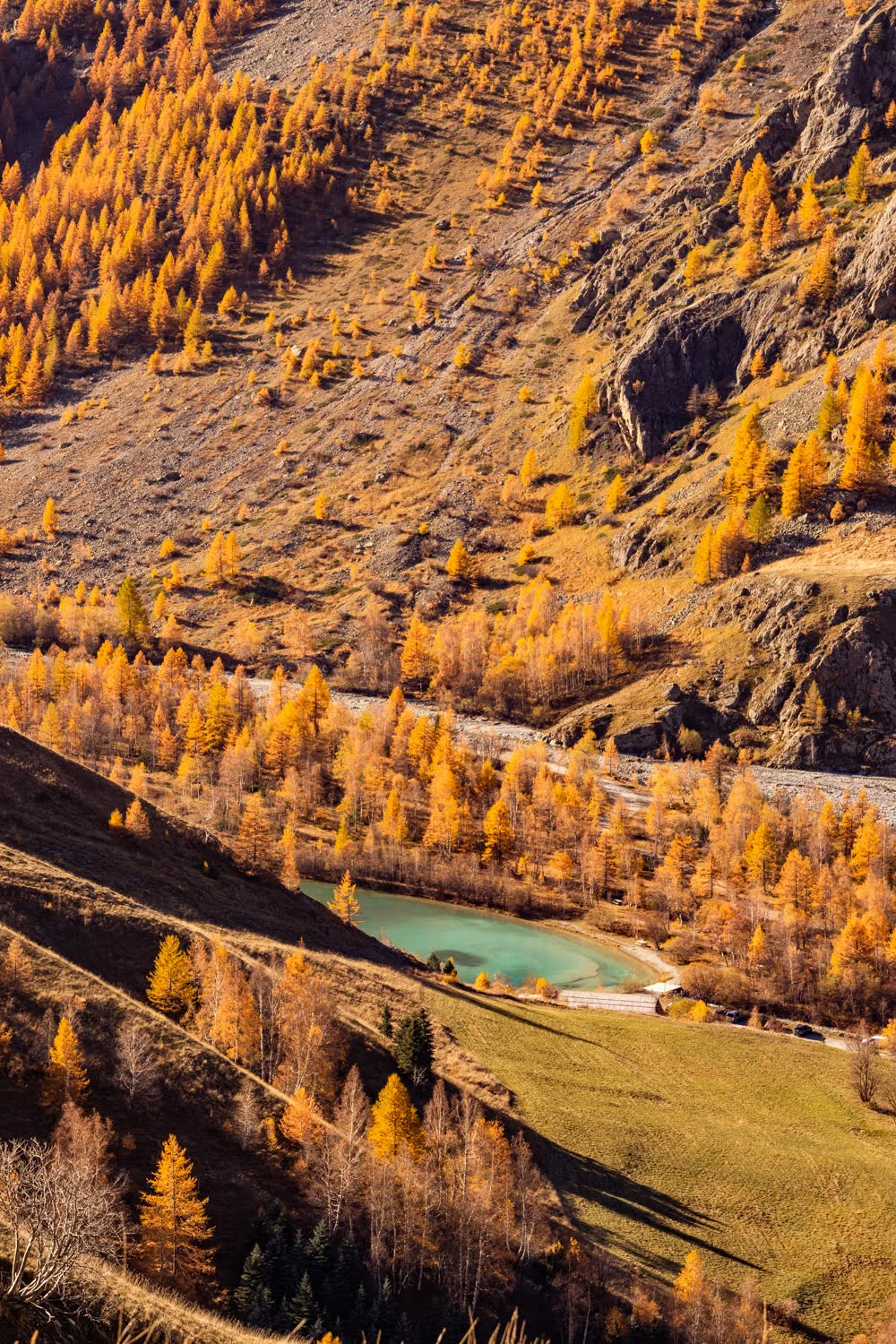 lac bleu turquoise entouré de mélèze dorés