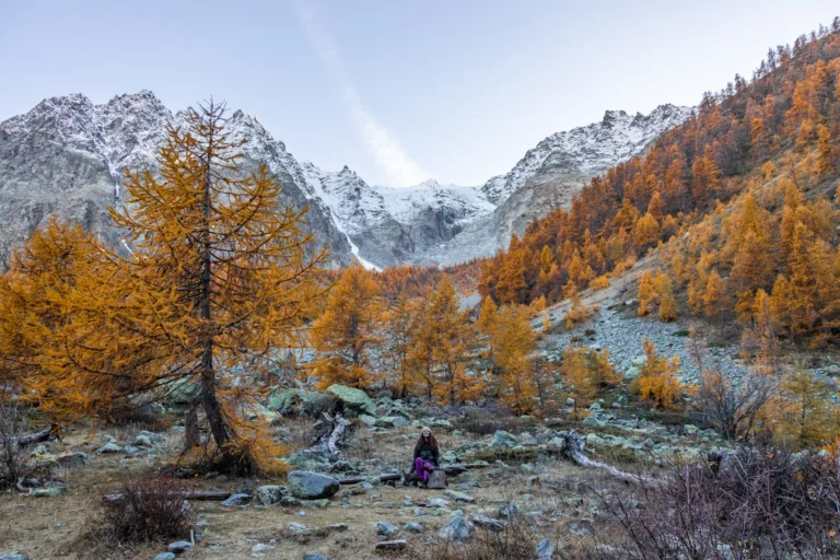 panorama sur montagne enneigés et mélèzes dorés