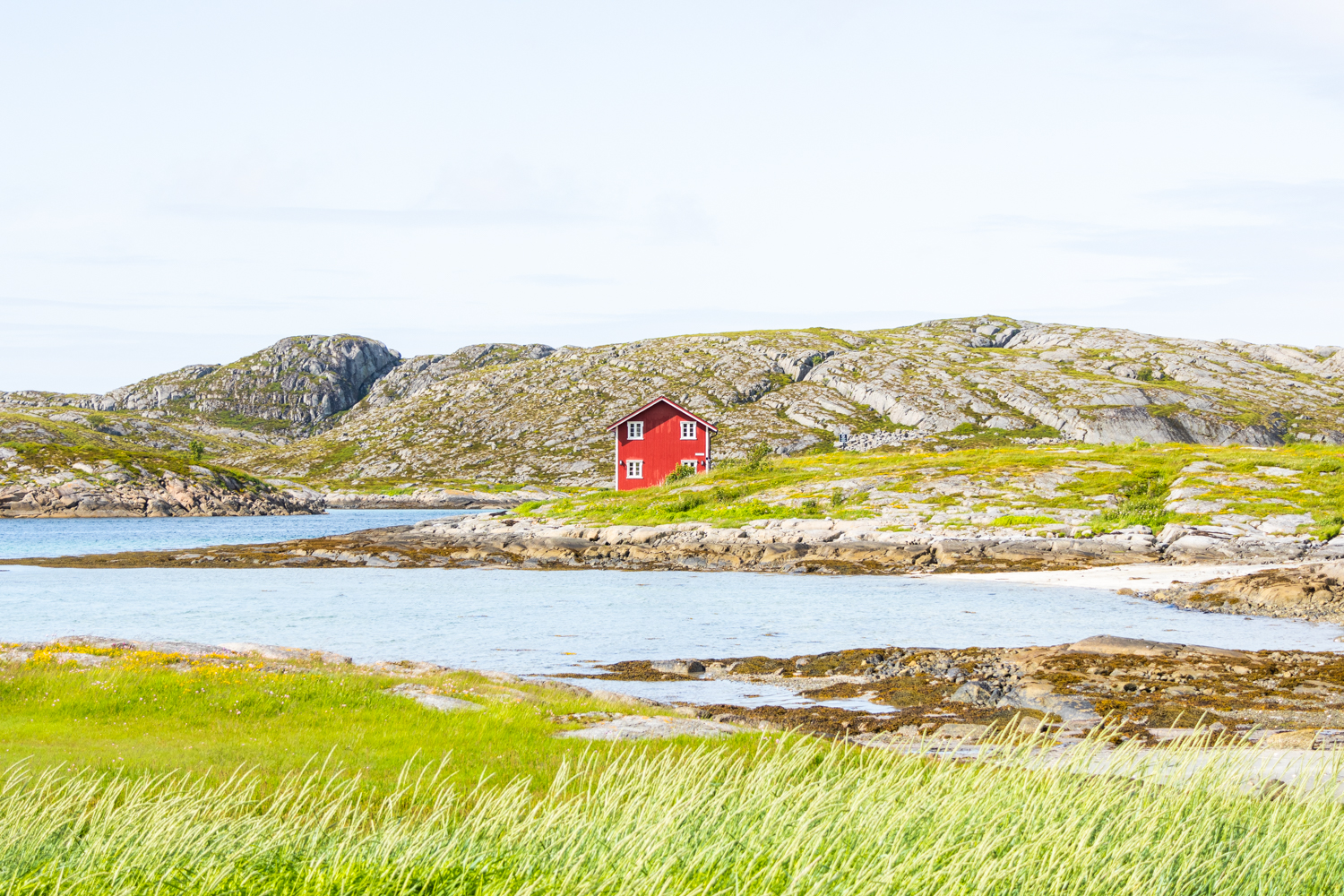 photo d'une Maison rouge isolée au bord de la mer entouré d'un paysage verdoyant et sauvage de Norvège. Format paysage
