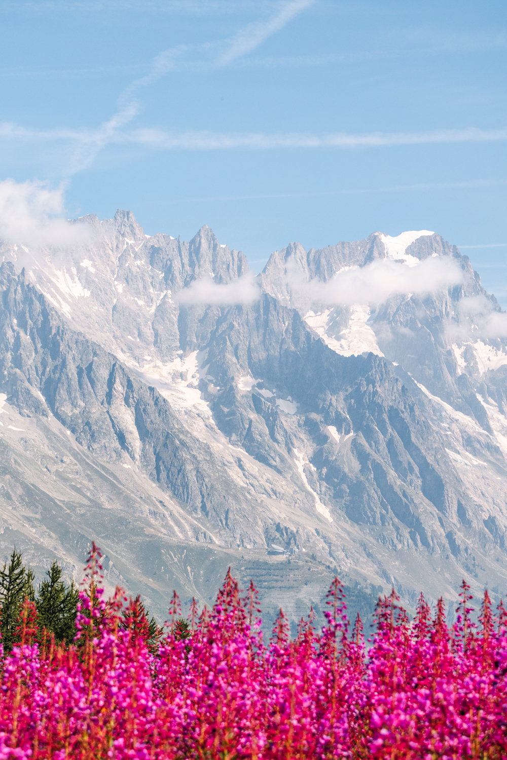 Massif du Mont-Blanc sur un lit de fleurs – Image 2