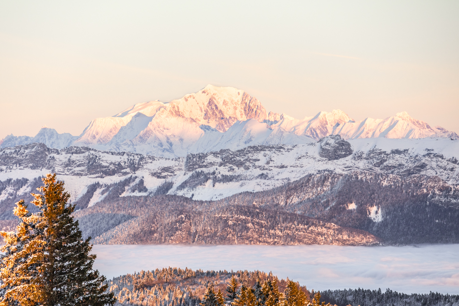 photo du Mont-Blanc enneigé émergeant majestueusement au-dessus d'une mer de nuages et de sapins dans les Alpes. Format Paysage
