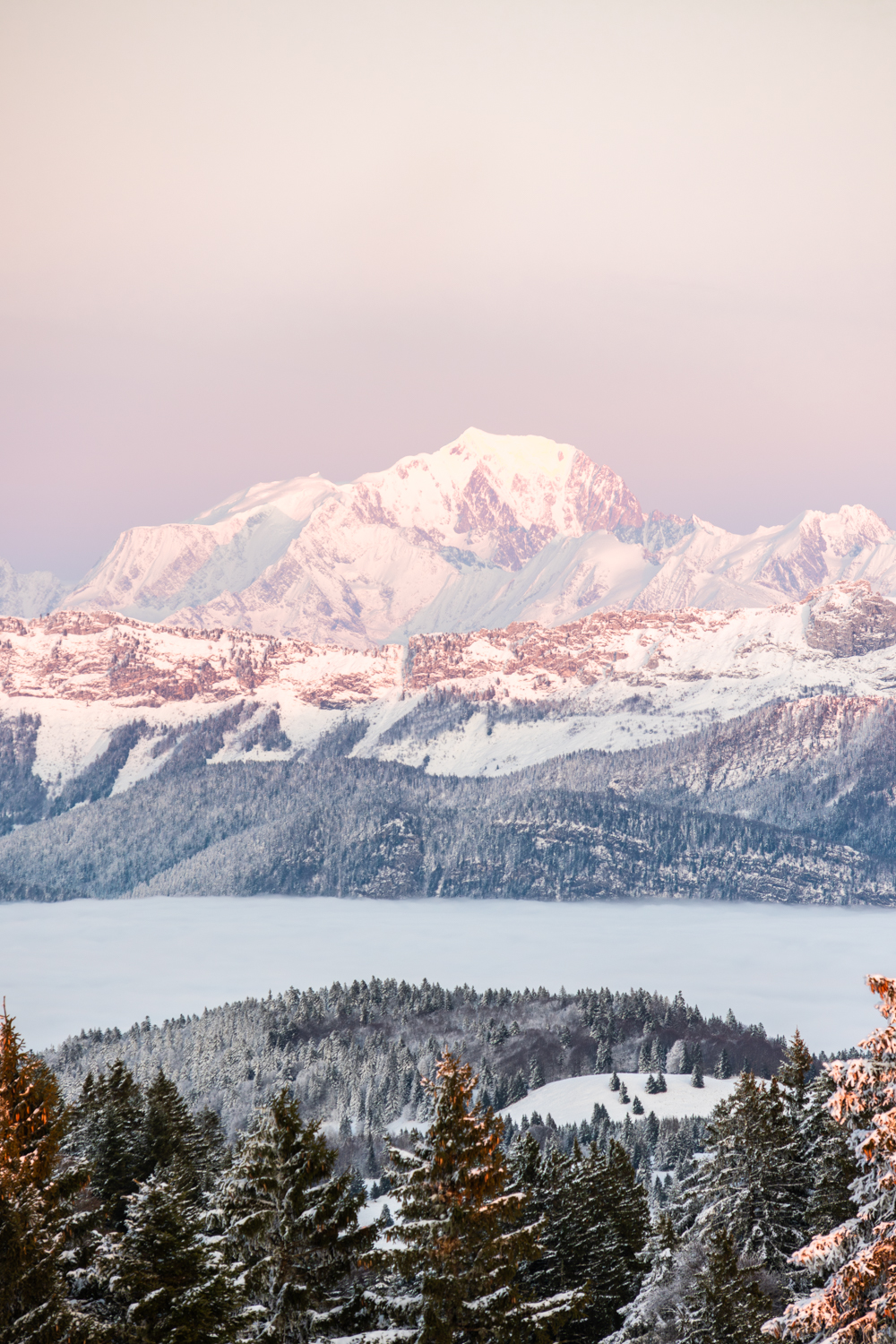 photo du Mont-Blanc enneigé émergeant majestueusement au-dessus d'une mer de nuages et de sapins dans les Alpes. Format portrait