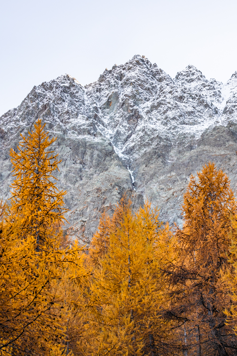 Montagne avec des mélèzes dorés – Image 2