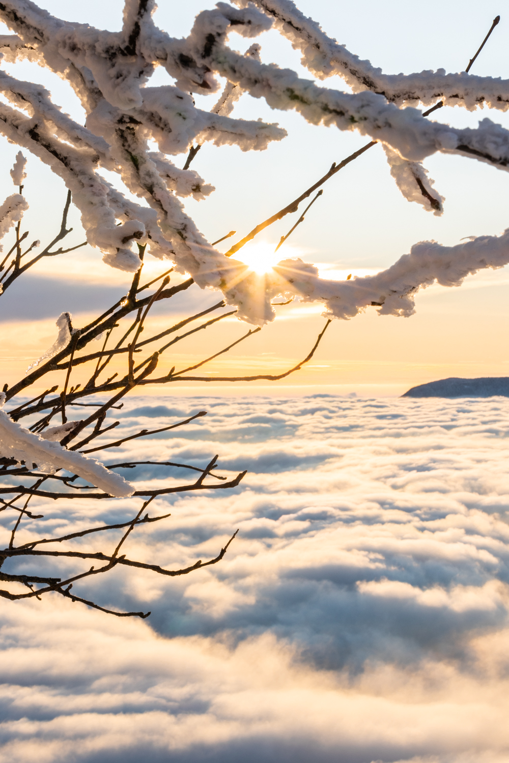 photo d'un Paysage enneigé baigné de soleil émergeant au-dessus d'une épaisse mer de nuages blanchâtre