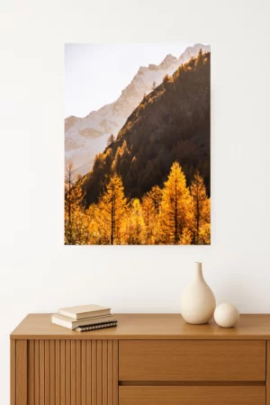 tirage photo forêt aux couleurs automnales traversée par les rayons dorés du soleil matinal