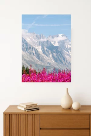 tirage photo du Massif du Mont-Blanc se dressant en arrière-plan d’un champ fleuri aux couleurs vives